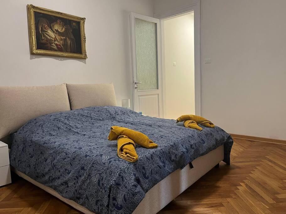 Residence Belvedere Paduina Trieste Eksteriør billede